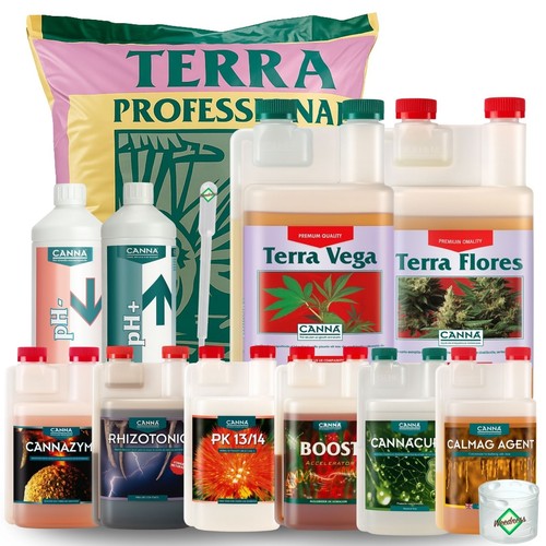 Canna terra - terra,