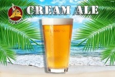 KIT RICETTA BIRRA FATTA IN