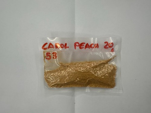 Peperoncino piccante carolina - peperoncino,