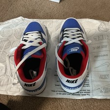 Nike Dunk Low Disrupt 2 Nike