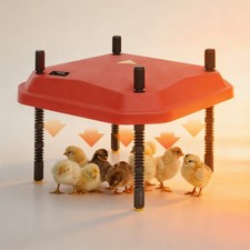 Piastra termica per pulcini