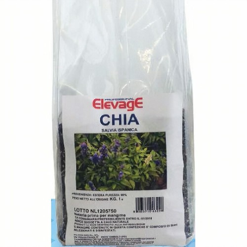 Semi chia elevage 1 - semi, di