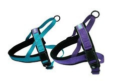 Imbracatura per Cani Comfort Morbida Pile Imbottita M, L o XL Acqua o Viola Cane & Co