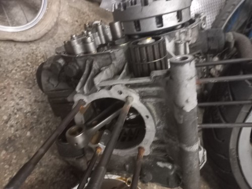 Blocco motore ducati - blocco, moster
