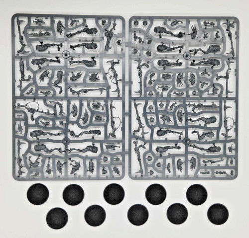 10x kroot carnivores tau - 10x,