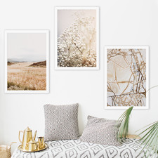 Stampe botaniche arte da