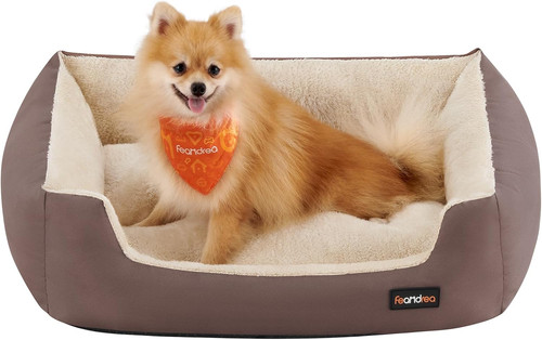 Cuccia cane interno - cane,