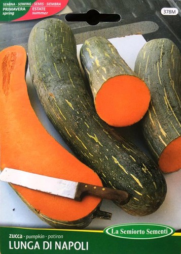 Semi seeds zucca piena - semi,