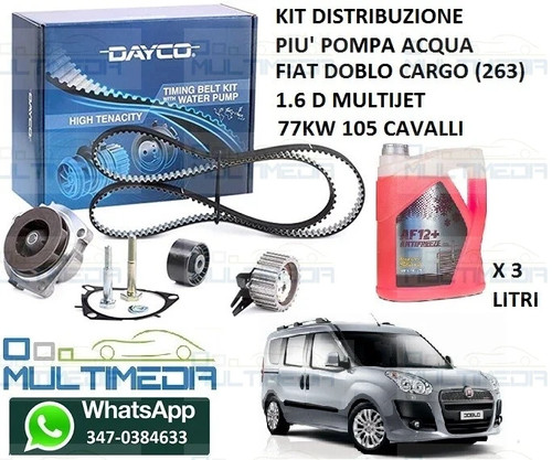 Kit distribuzione pompa - kit,