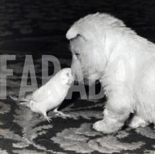 Foto vintage Regno Unito, West