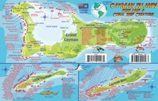 Cayman Islands Dive Map & Reef Creatures Guide Waterproof Fish Card Franko Maps