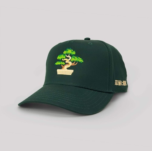 Bonsai snapback pazienza - pazienza, e