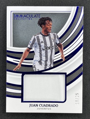 Patch panini 2022 - panini, 2022-23
