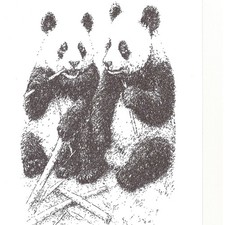 Panda Ueno Zoo Souvenir Penna