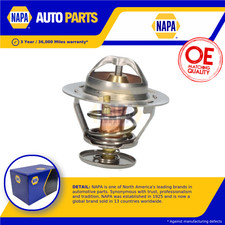 Termostato liquido di