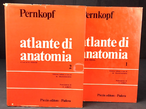 Atlante anatomia - di,