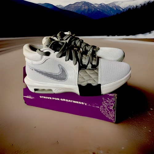 Nike lebron witness viii - witness, da