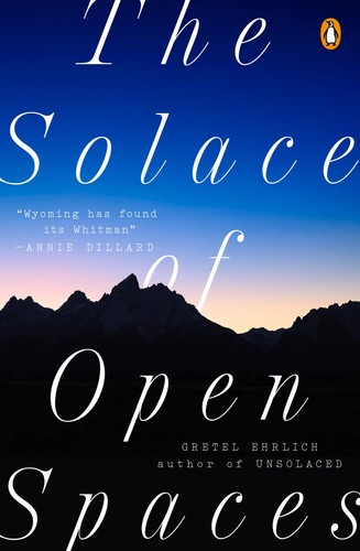 The solace open - solace, spaces