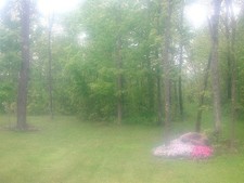 Kenko Filtro ottico creativo