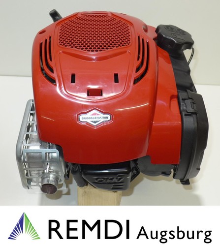 Motore rasaerba briggs - motore,
