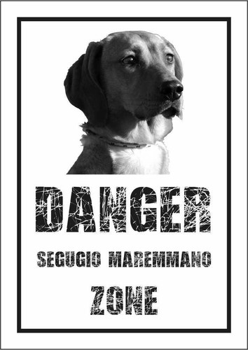 Cartello segnaletico segugio - segnaletico,