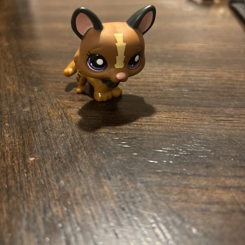 Littlest pet - littlest,