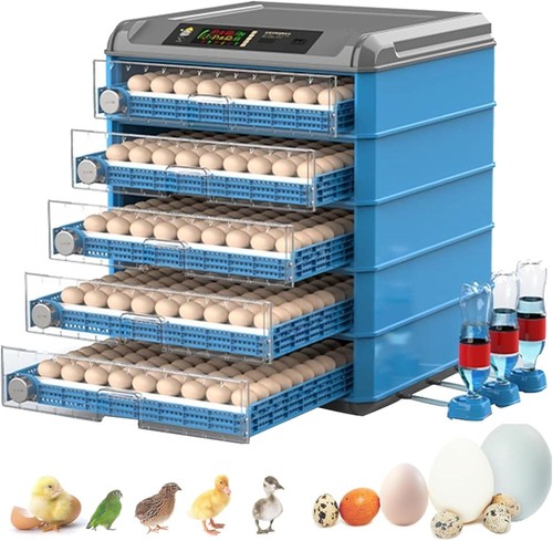 Incubatrice professionale - ,