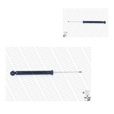 MONROE 2X Ammortizzatori