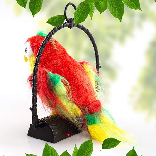 The talking parrot - talking,