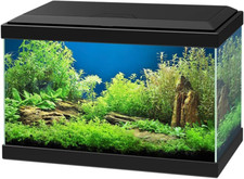 Askoll acquario aqua nero - acquario, 20