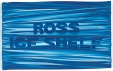 UMBERTO MARIANI - Autobiografico: ROSS ICE SHELF - 2010 - cert.autent.+ catalogo