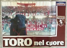 Poster Torino Calcio - Toro