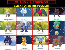 XL e XXL ENORME CONCORSO