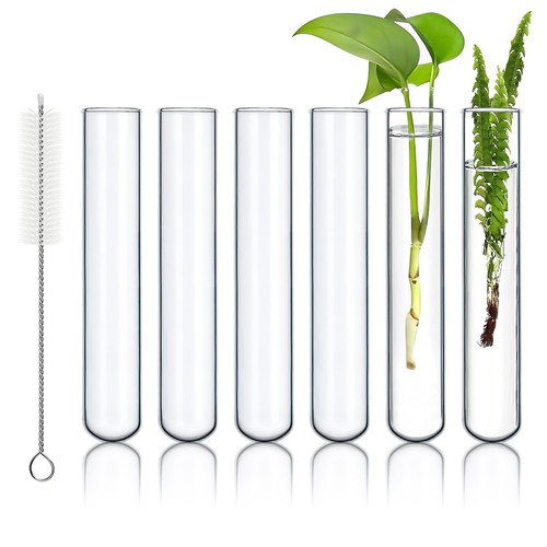 6pcs tubo prova vetro - tubo,