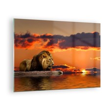 Quadro su Vetro 70x50cm Leone