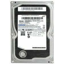SAMSUNG HD250HJ HDD HARD DISK 250GB 3,5" COMPUTER FISSO DESKTOP SERVER NAS DVR