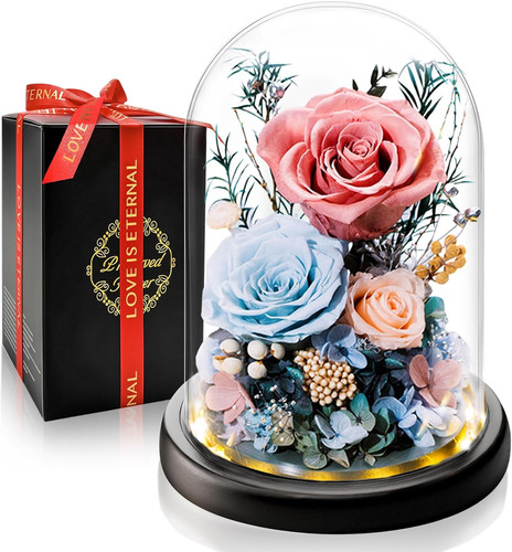 Rosa eterna stabilizzata sotto - eterna,