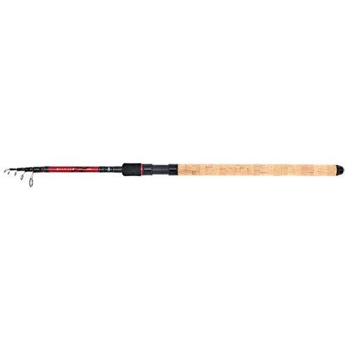 Canne spinning daiwa ninja - canne,