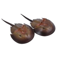  2 Pcs Figurina Di Granchio