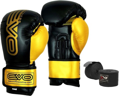 Guanti boxe evo fitness pro - da,