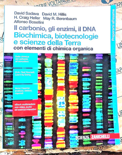 Carbonio gli enzimi - il, carbonio,