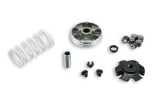 5111597 VARIATORE MALOSSI