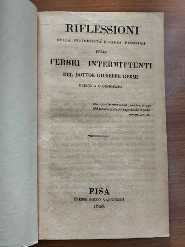 Germi riflessioni sulle - riflessioni,