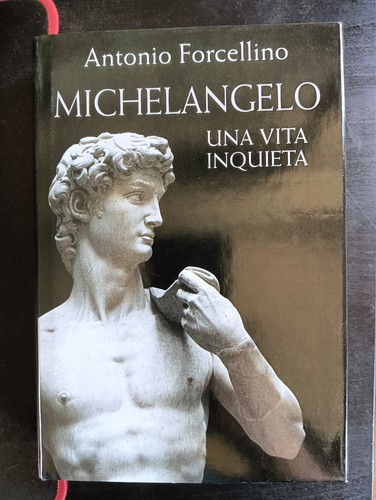 Libro michelangelo una vita - libro,