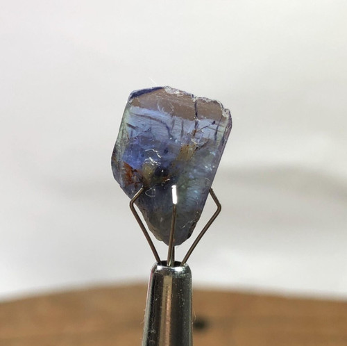 Gemma campione tanzanite - tanzanite:, 9.40