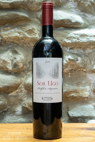 Sor ugo 2022 bolgheri - ugo,