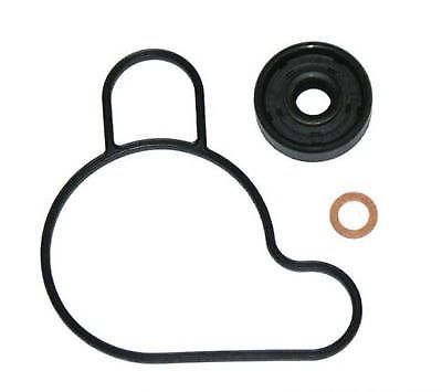 Kit manutenzione guarnizione