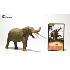 Eofauna Konobelodon atticus Model 1:35 Scale - Modello di elefante preistorico