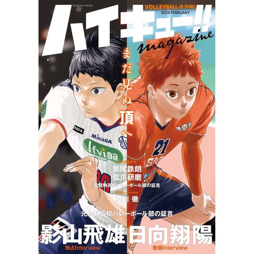 Haikyuu shoyo hinata anime - shoyo,
