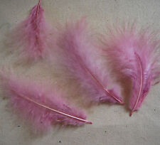 50 pezzi Piume MARABU NUOVE